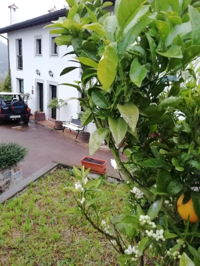 Affittacamere El Oteru I Villaviciosa  Esterno foto